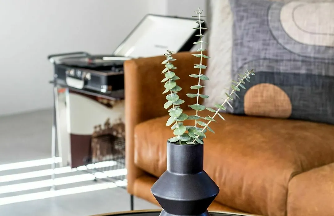 Serene Studio In North Park By Sonder-1