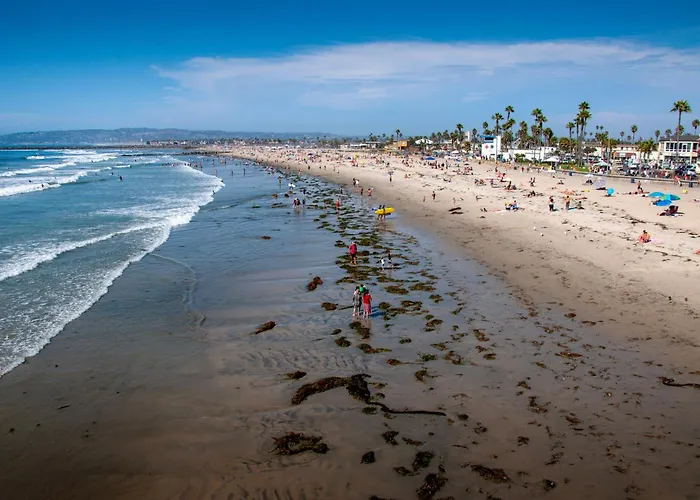 Newly Renovated 3Br Modern Apt In Heart Of Ocean Beach San Diego