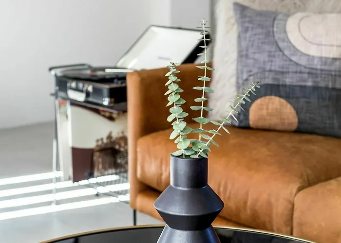 Serene Studio In North Park By Sonder San Diego